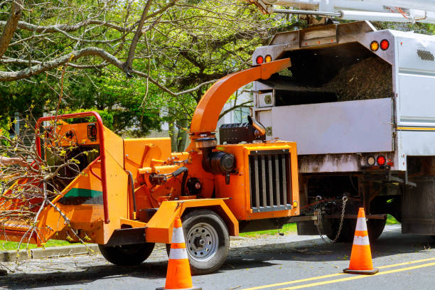 Best Tree Removal Service  in Gra Forks, ND